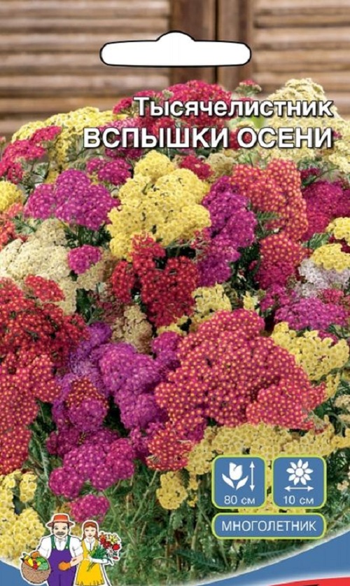 Семена цветов Уральский дачник Тысячилистник Вспышки Осени 26946 1 уп
