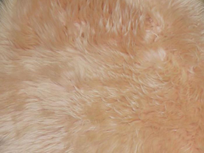 фото Ковер-накидка из натуральной овчины шестишкурная розовая 06ss 6000 hwit co ltd