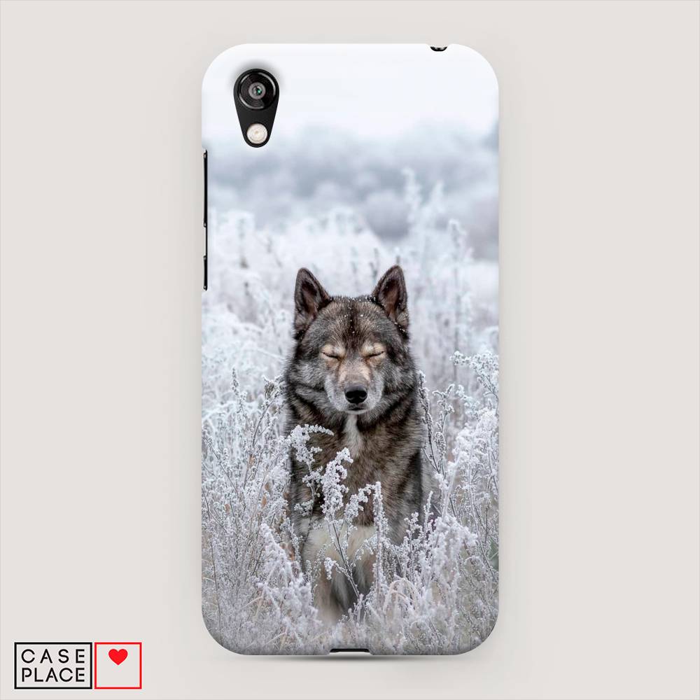 

Чехол Awog "Волк в поле" для Huawei Y5 2019, 69020-1
