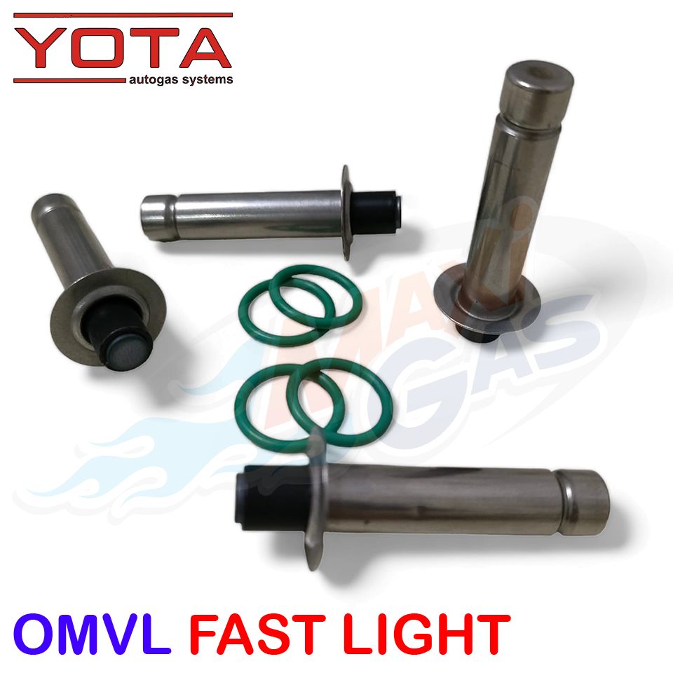 

Ремкомплект форсунок ГБО YOTA (OMVL) Fast Light (для 4-х форсунок)