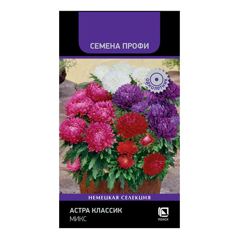 

Семена Астра Классик Микс Поиск 0,3 г