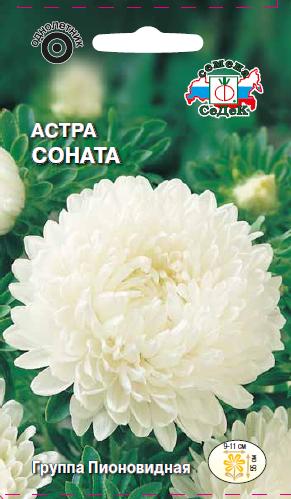 

Семена астра СеДеК Соната 1492 1 уп.