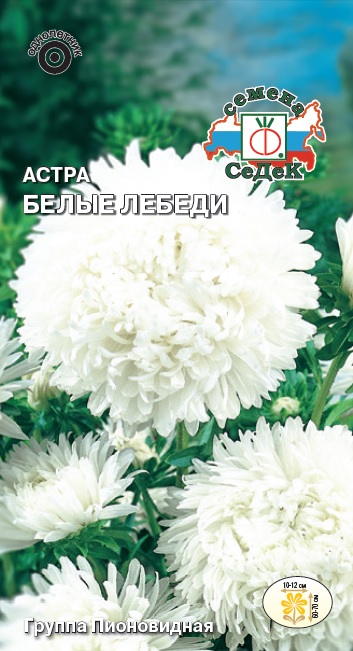 

Семена астра СеДеК Белые лебеди 1620 1 уп.