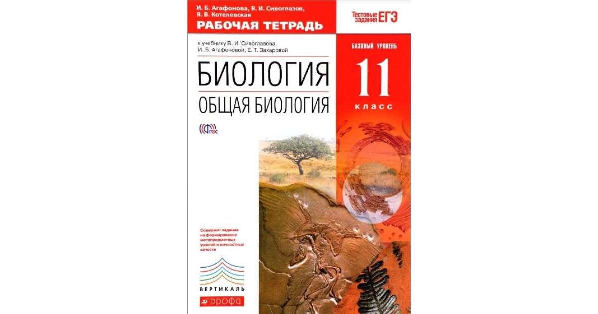 Биология тетрадь сивоглазов. Биология общая биология Сивоглазов Агафонова и.б Захарова. Биология. 11 Класс общая биология Сивоглазов,Агафонова,Захарова. Биология 11 класс Сивоглазов, Агафонова, Захарова обложка. Биология. Агафонова и.б., Сивоглазов в.и., 11 класс.