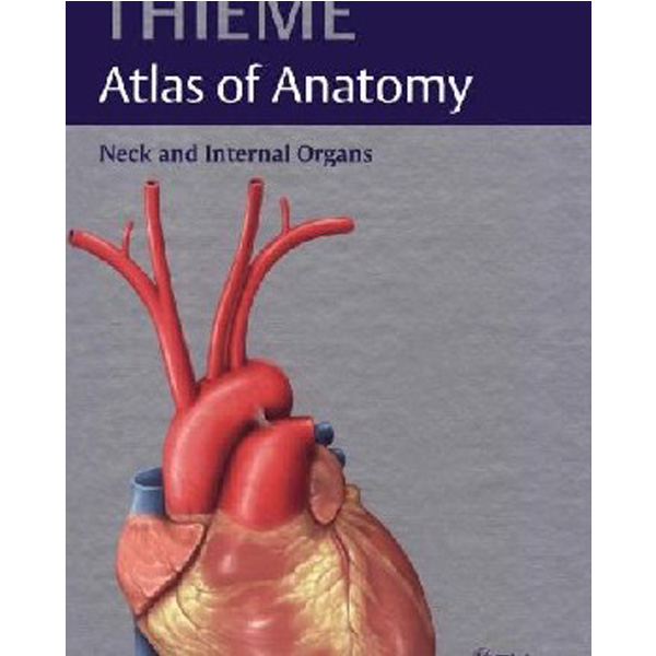 

Neck and Internal Organs (THIEME Atlas of Anatomy) / Schuenke et al