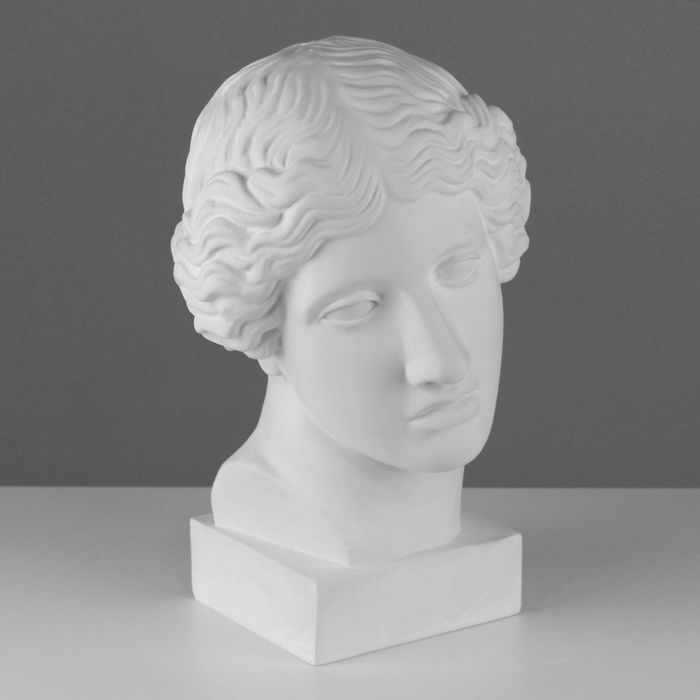 

Гипсовая фигура голова Амазонки, 22 х 25 х 38 см