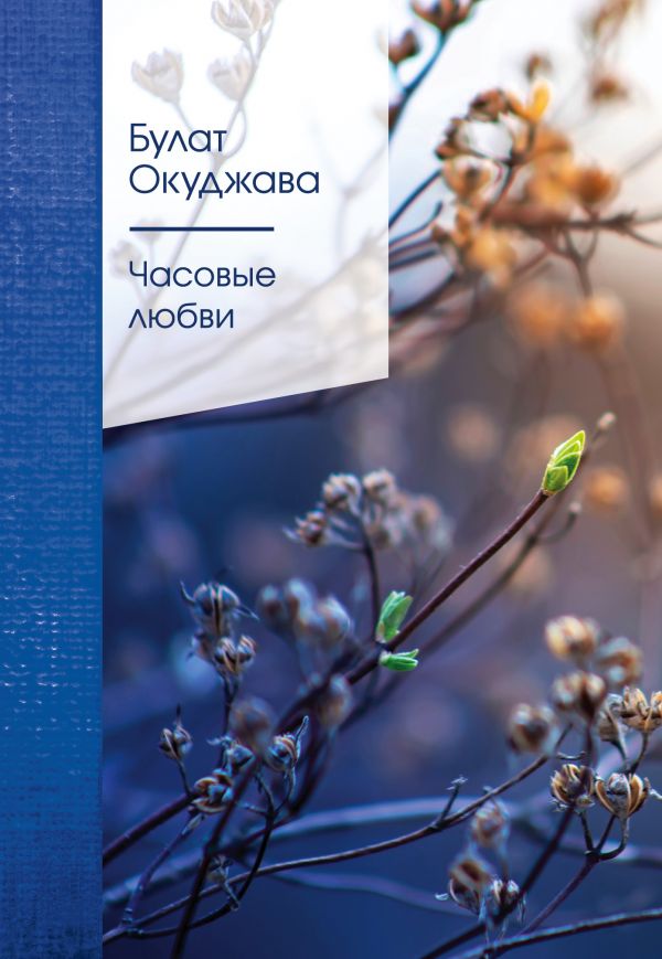 

Книга Часовые любви