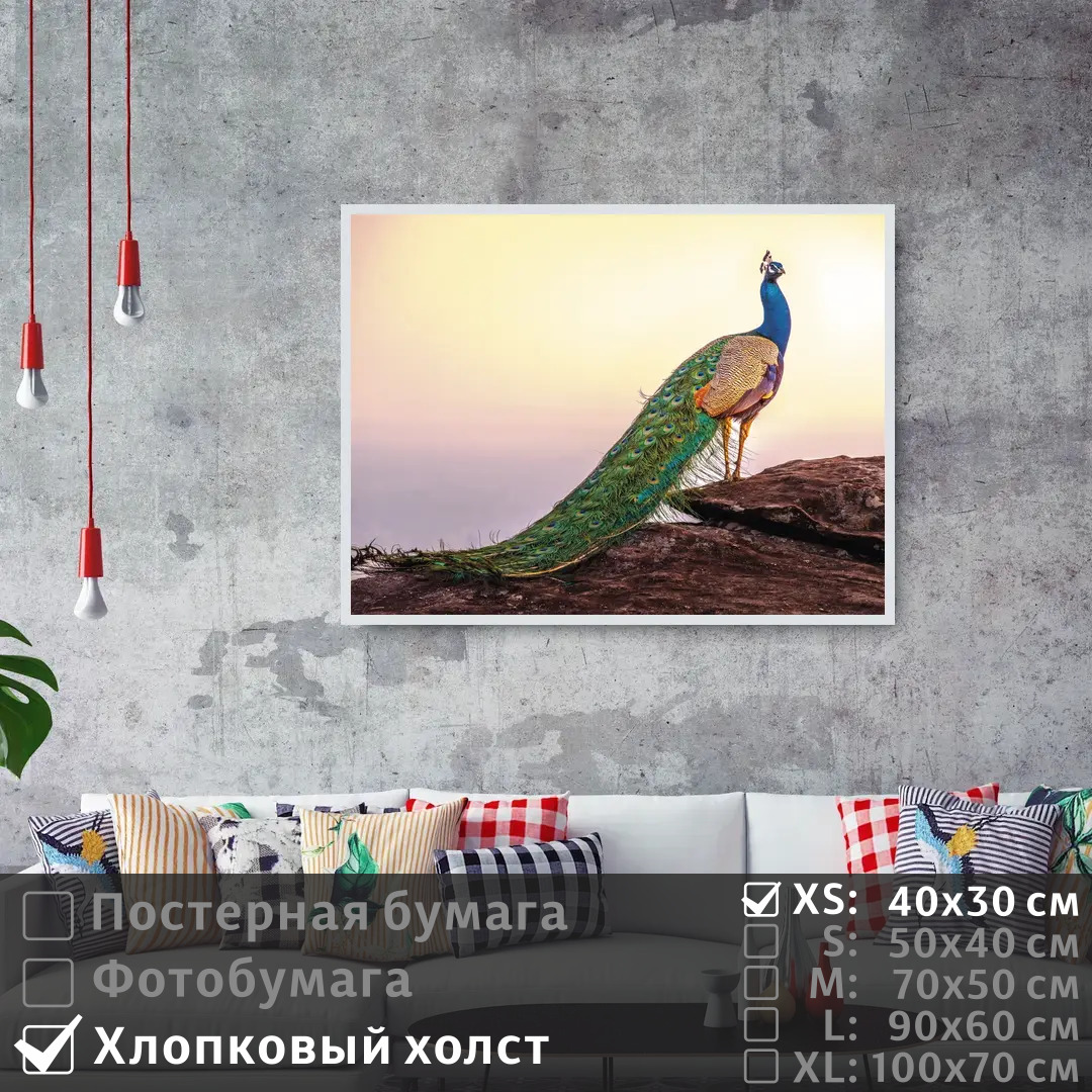

Постер на холсте ПолиЦентр Павлин на восходе солнца 40х30 см, ПавлинНаВосходеСолнца