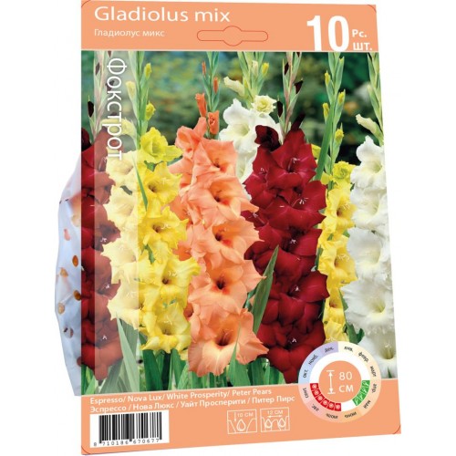 

Луковицы Gladiolus Mix Фокстрот 10 шт