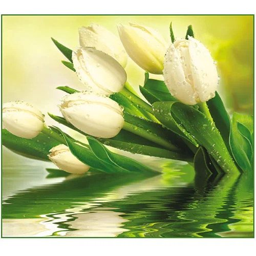 фото Фотообои тула vip белые тюльпаны 294/260 12 листов vostorg collection