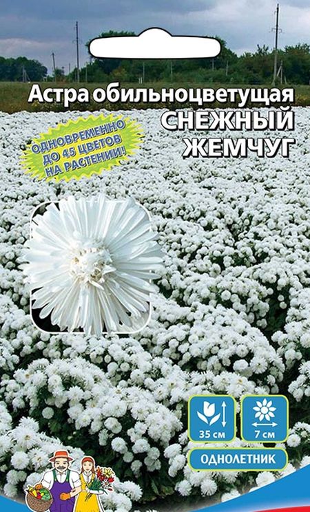 

Семена астра Снежный жемчуг 26960 1 уп.