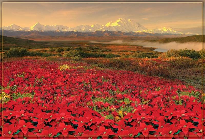 Фотообои Тула бумажные глянцевые Цветение в горах 294/201 9 листов пазл castorland premium авто в горах 200 элементов