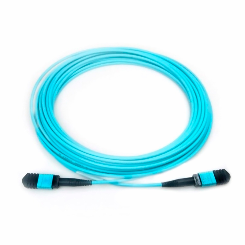 

Кабель ACD MPO - MPO розетка-розетка 7м (ACD-C-MPO(F)-MPO(F)-12OM3-TYPE-B-7M) аквамарин