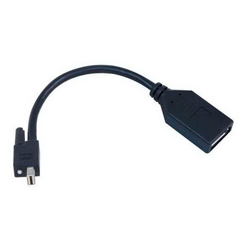 Кабель Matrox MiniDisplayPort - DisplayPort вилка-розетка 0.1м (CAB-MDP-DPF) черный