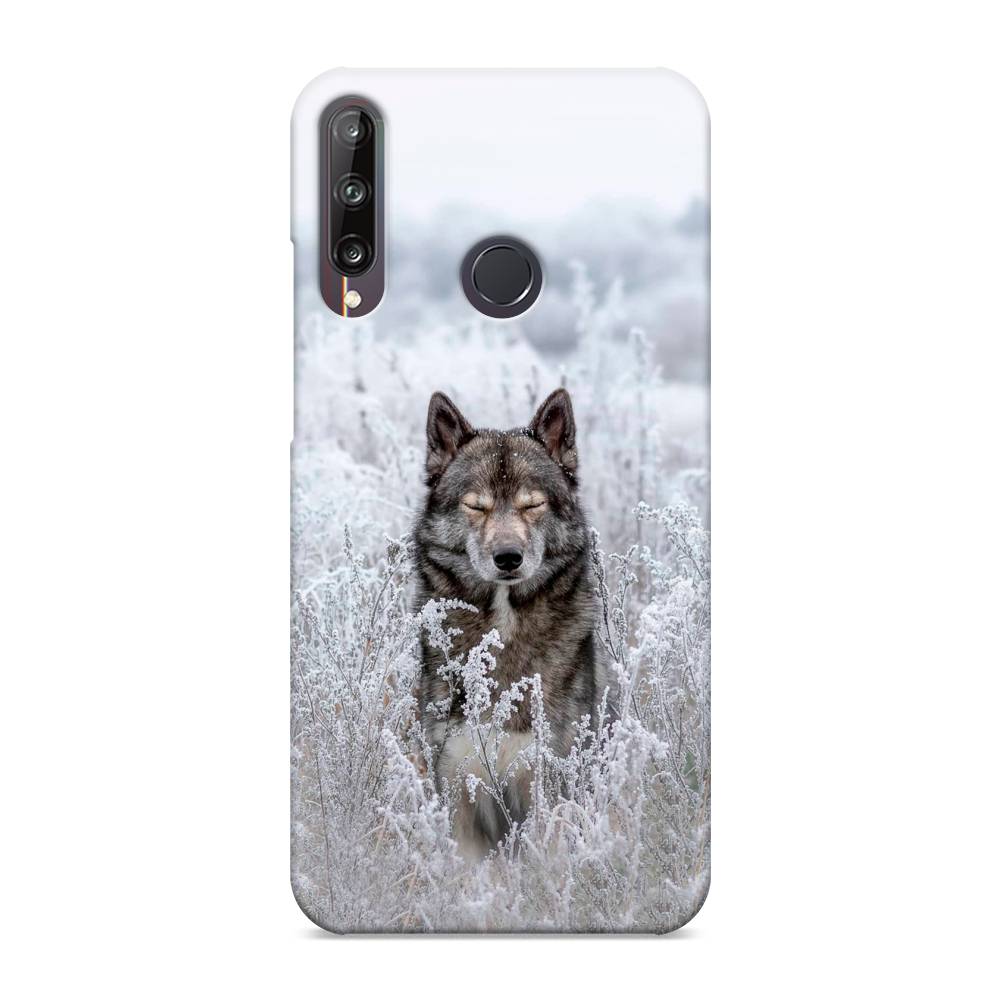 

Чехол Awog "Волк в поле" для Huawei P40 lite E, 612420-1