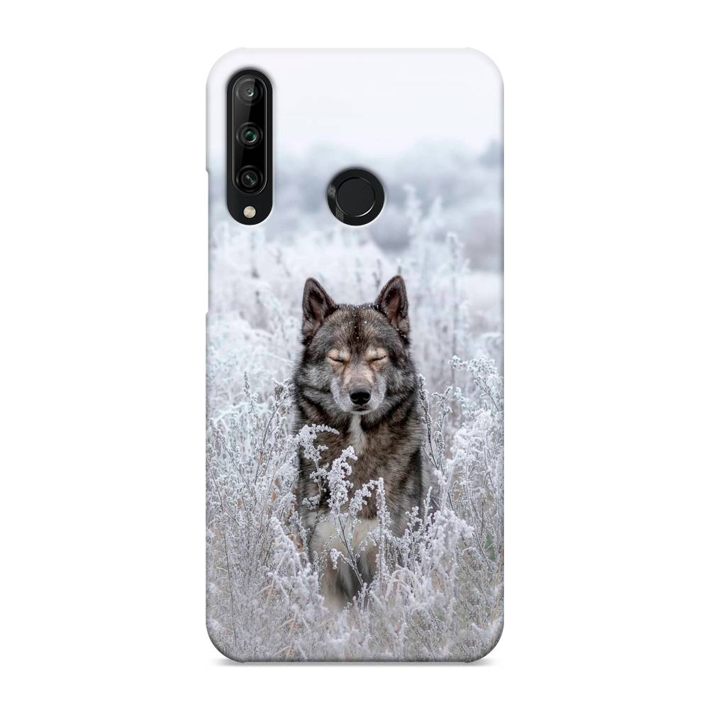 

Чехол Awog "Волк в поле" для Honor 9C, 612520-1