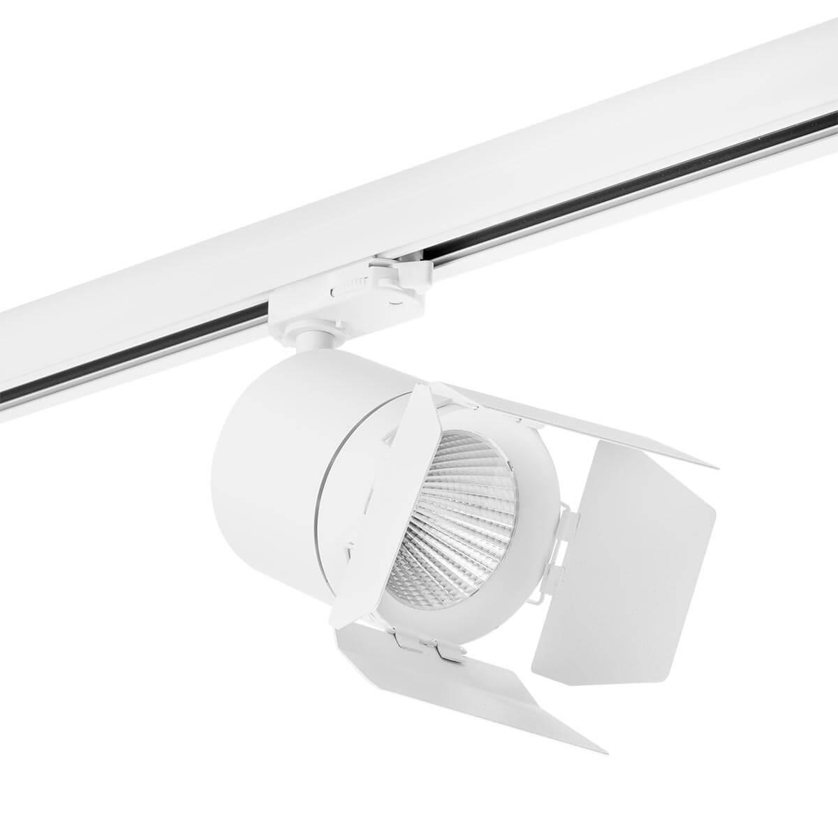 

Трековый светодиодный светильник Lightstar Canno Led (301562+202996) C156296