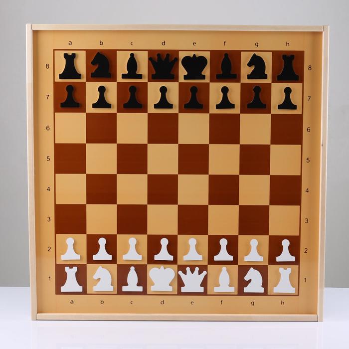 Шахматы и шашки демонстрационные магнитные 73х73х3.5 см демонстрационные шахматы 40 х 40 см