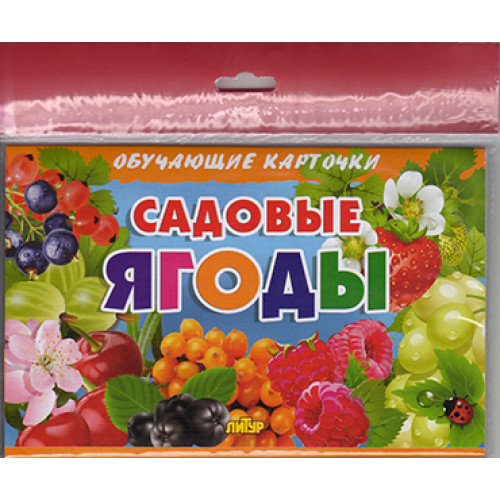 

Карточки. Литур. Садовые ягоды