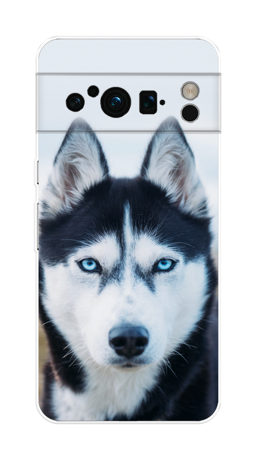 

Чехол на Google Pixel 8 Pro "Хаски 2", Синий;белый, 271650-1