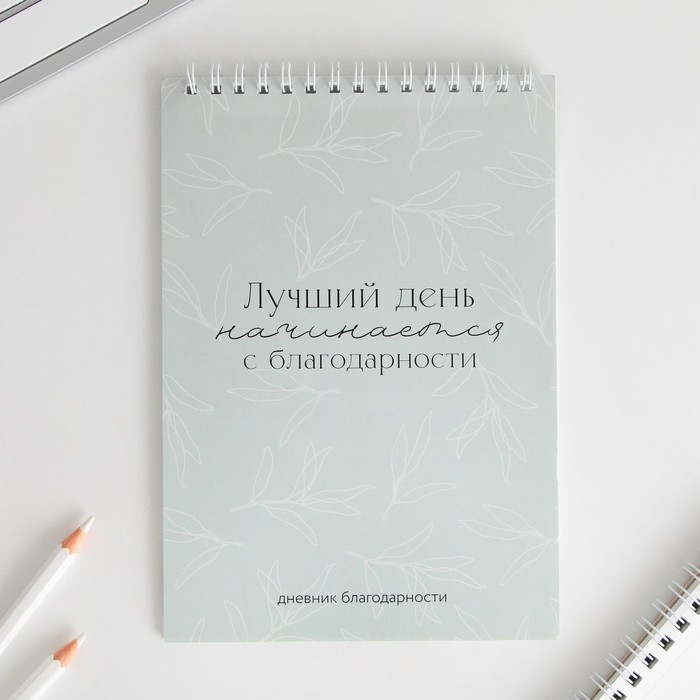 

Дневник благодарности «Лучший день», формат А5, 30 листов, Серый