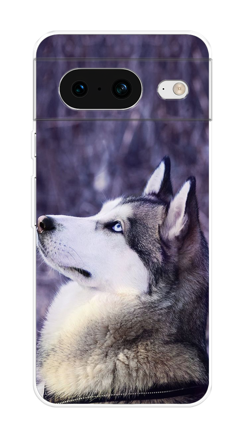 

Чехол на Google Pixel 8 "Хаски 1", Фиолетовый;белый, 271550-1