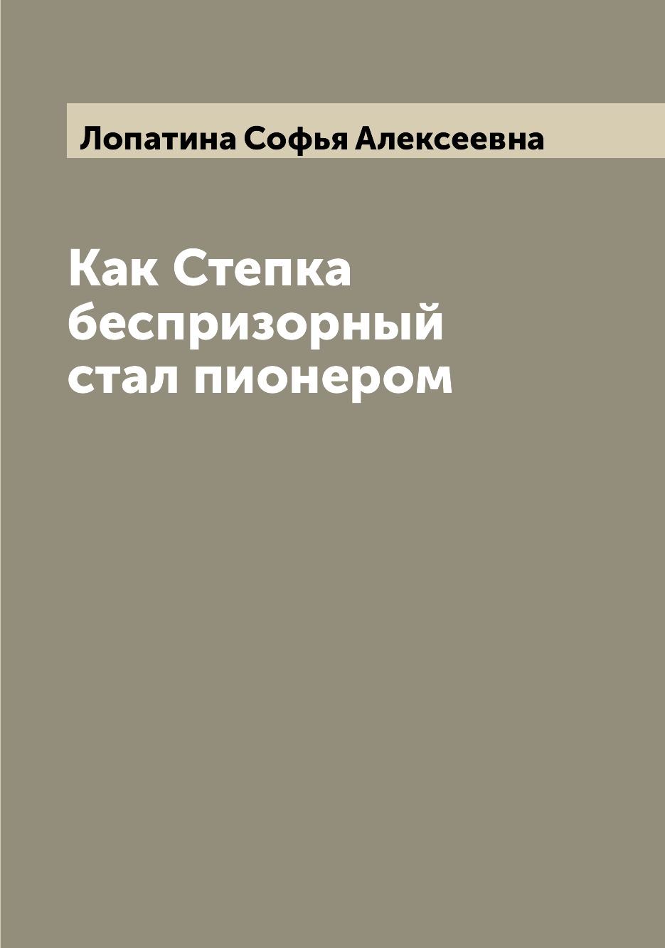 

Книга Как Степка беспризорный стал пионером