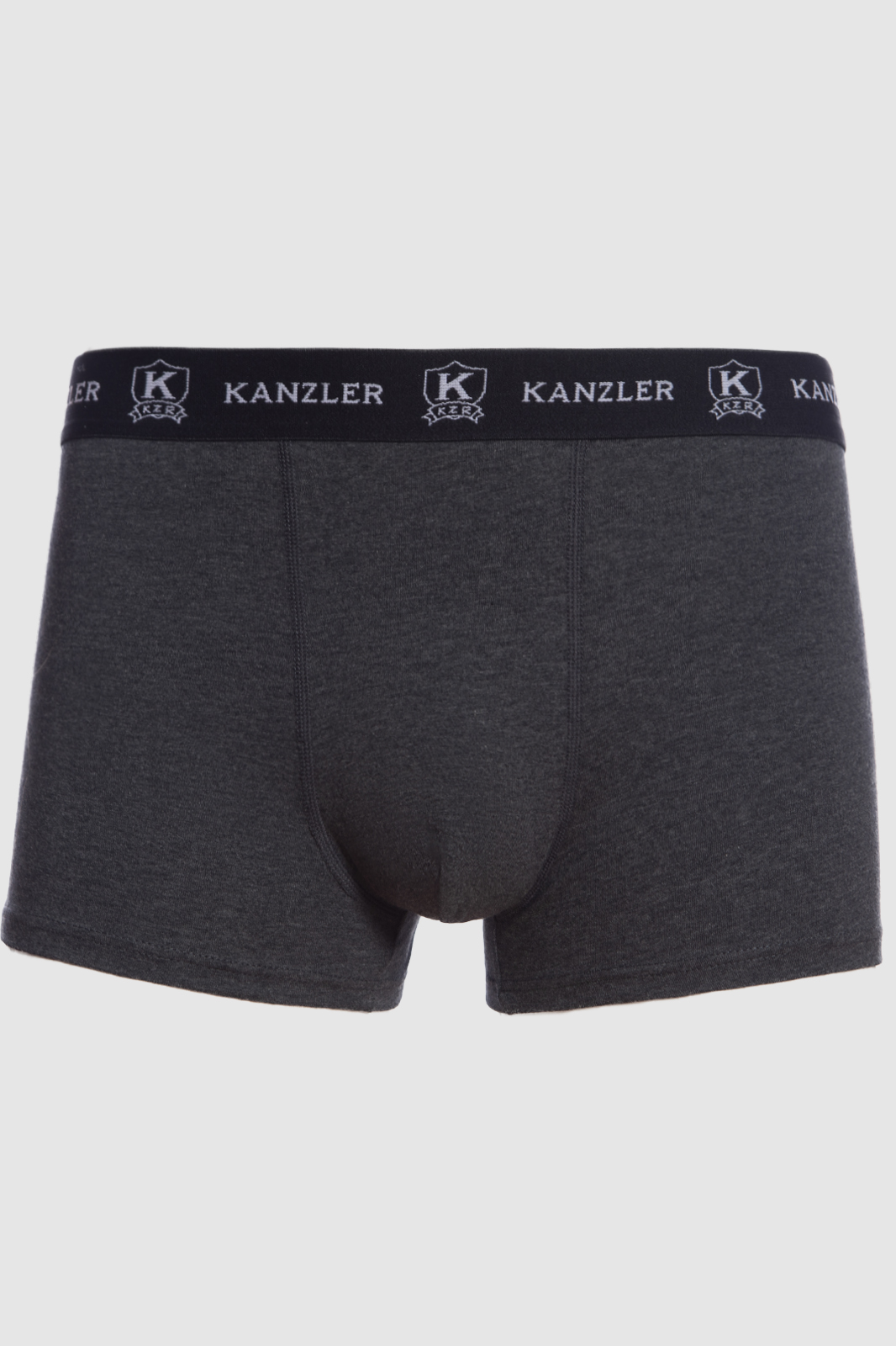 

Трусы мужские Kanzler 2S-B39WT-0119-05 серые S, Серый, 2S-B39WT-0119-05