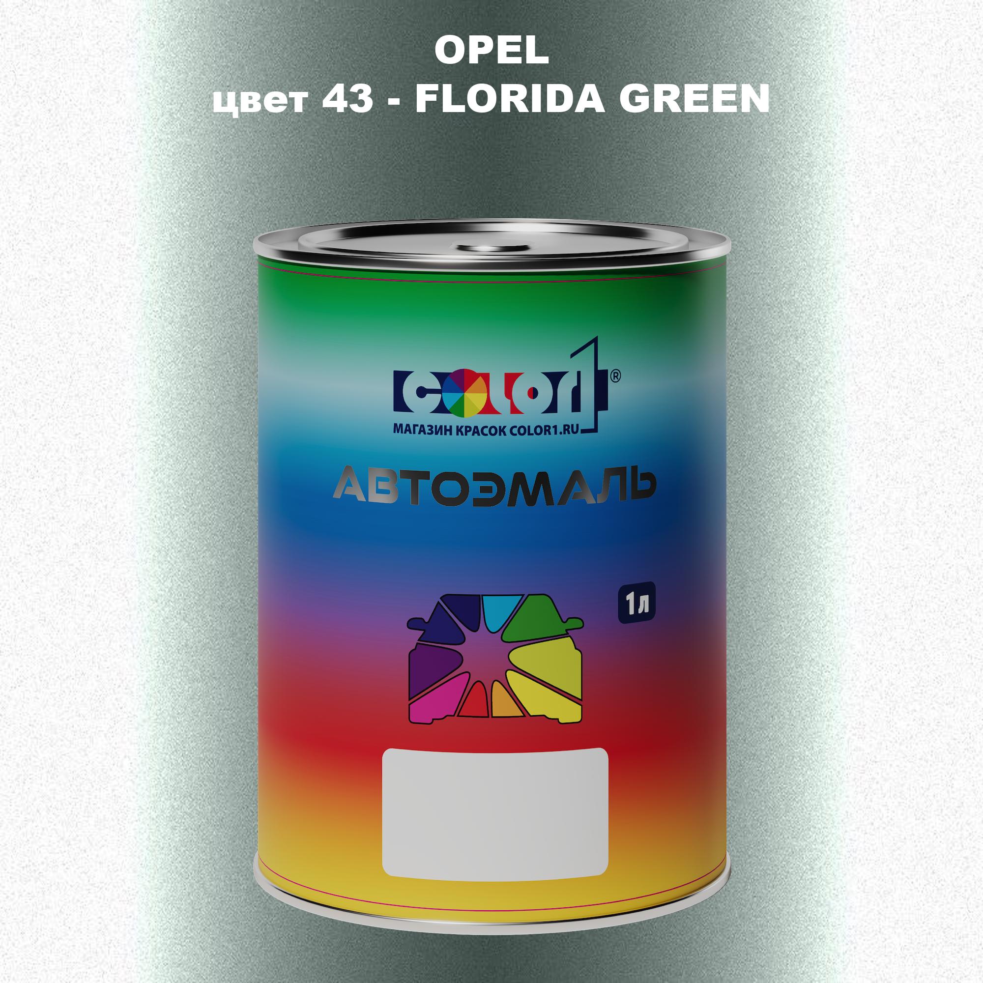 

Автомобильная краска COLOR1 для OPEL, цвет 43 - FLORIDA GREEN, Прозрачный