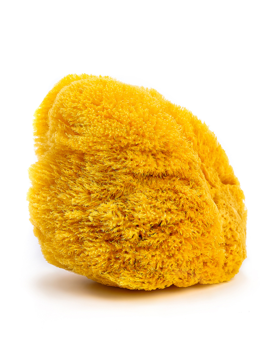 

Губка морская натуральная Milos, HONEYCOMB, 16 см, желтый, Honeycomb