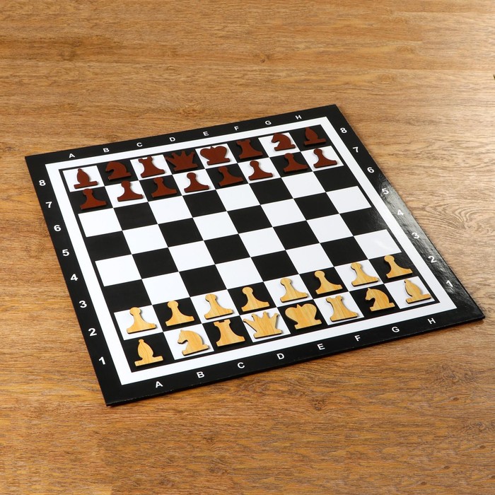 Демонстрационные шахматы на магнитной доске, 60х60 см демонстрационные шахматы 40 х 40 см