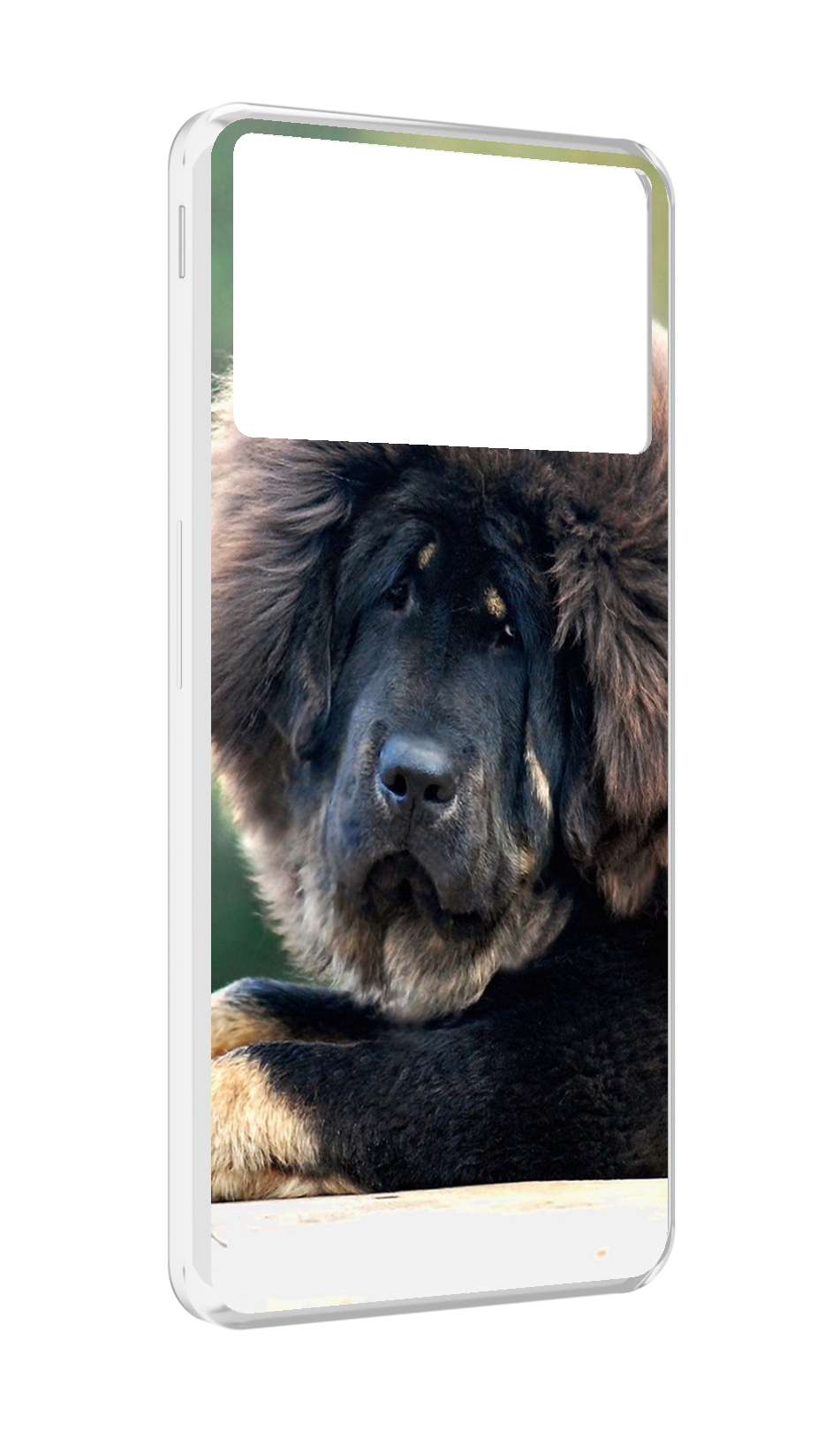Чехол MyPads тибетскии? мастиф для ZTE Nubia Z40S Pro