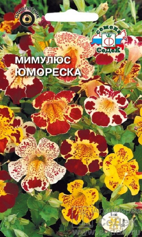 

Семена мимулюс СеДеК Мимулюс 28758 1 уп.