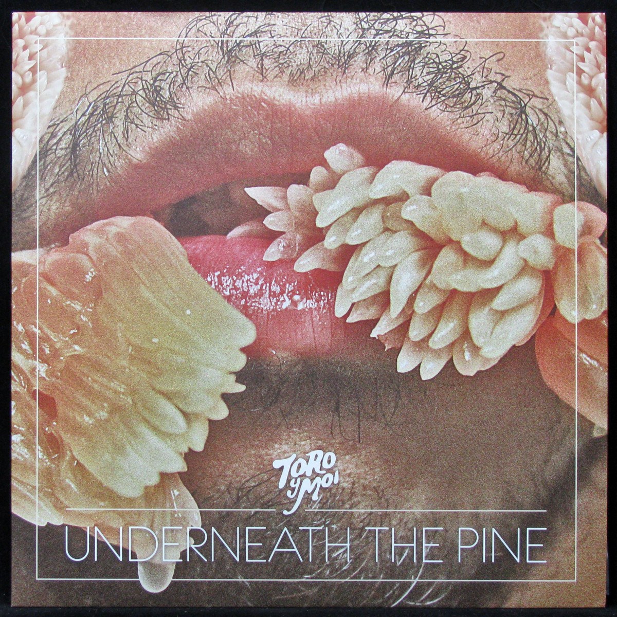 

LP Toro Y Moi - Underneath The Pine (coloured vinyl) Carpark (310084)