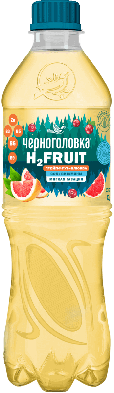 Вода газированная Черноголовка H2 FRUIT с соком Грейпфрута и Клюквы, 500 мл