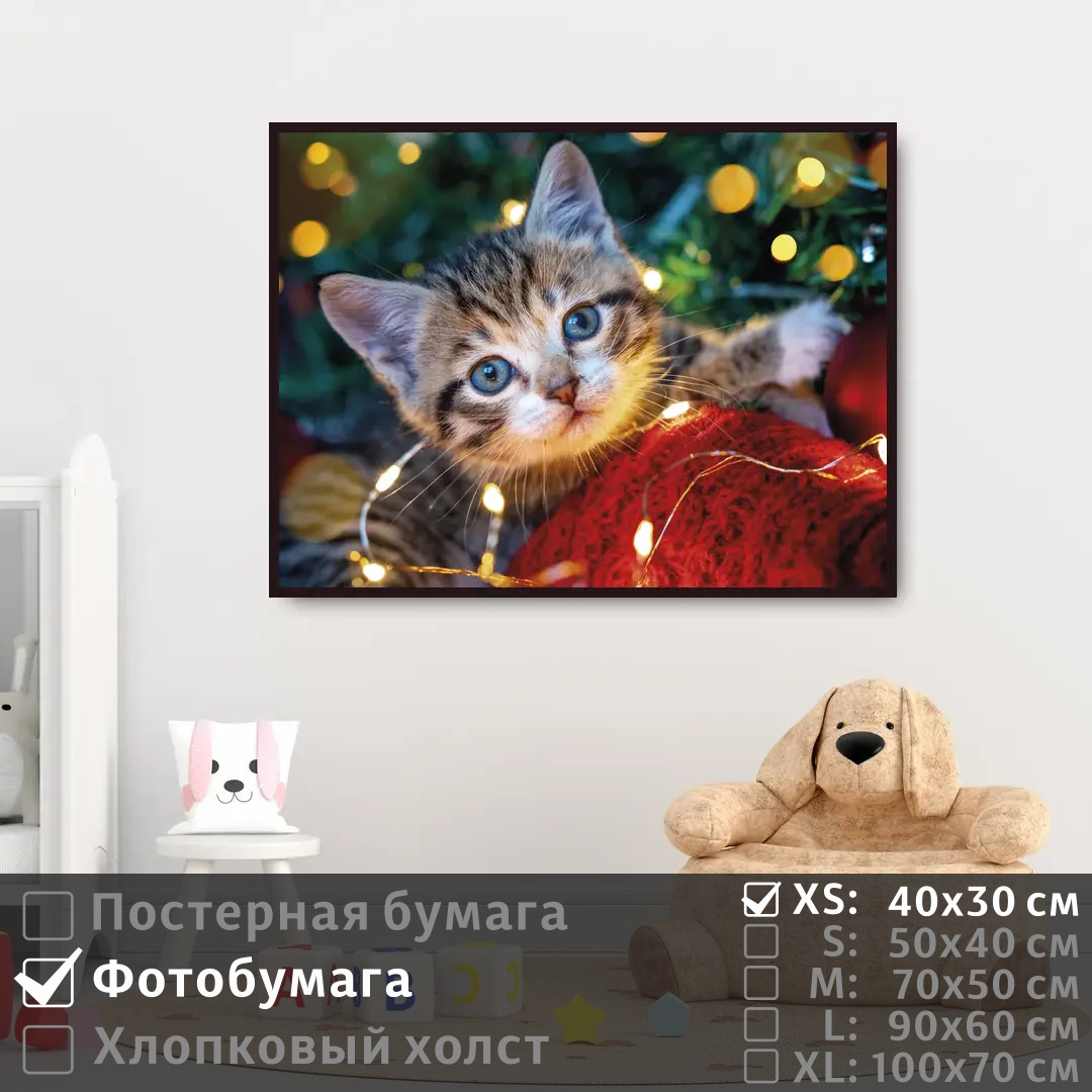

Постер на фотобумаге ПолиЦентр Милый смешной котик на стену 40х30 см, МилыйСмешнойКотикНаСтену