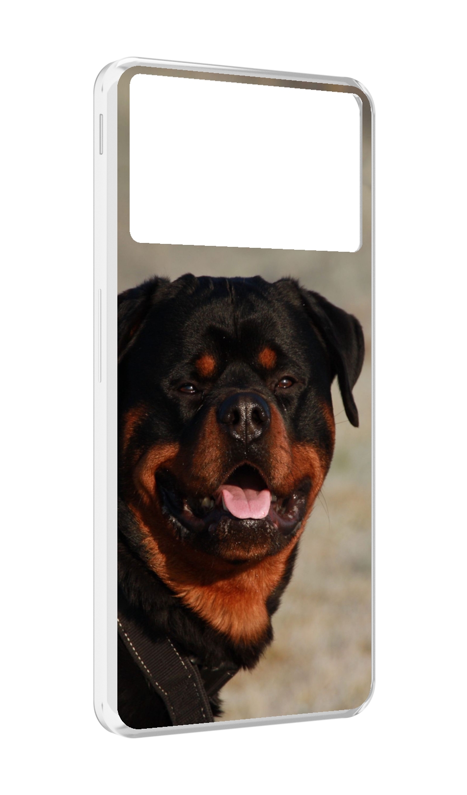 

Чехол MyPads ротвеллер 2 для ZTE Nubia Z40S Pro, Прозрачный, Tocco