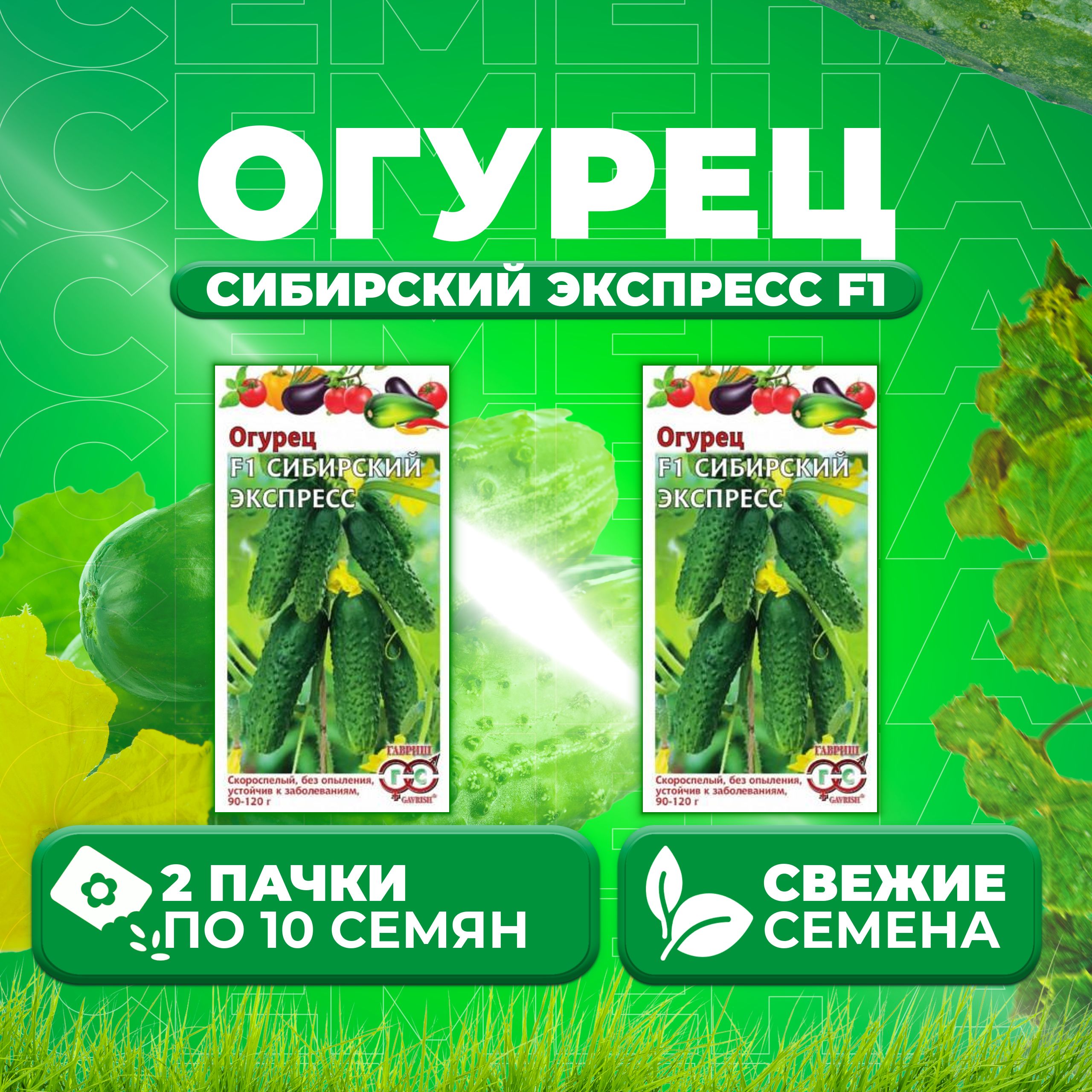 

Семена огурец Сибирский экспресс F1 Гавриш 1999945296-2 2 уп., 1999945296