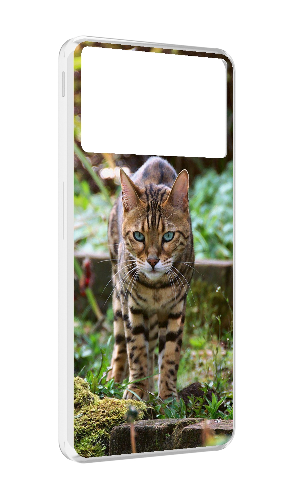

Чехол MyPads порода кошка бенгальская для ZTE Nubia Z40S Pro, Прозрачный, Tocco