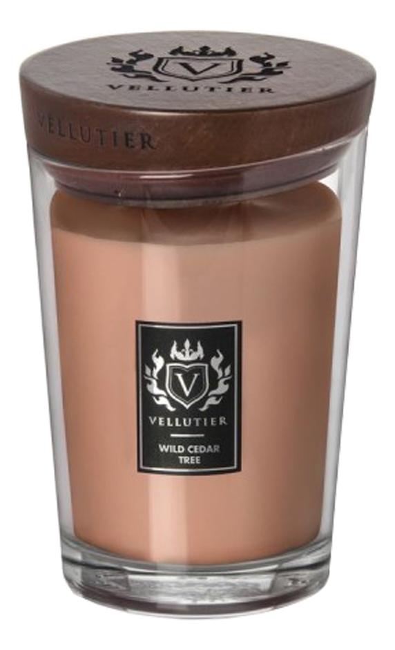

Ароматическая свеча Vellutier Wild Cedar Tree Дикий кедр 515г, 435613