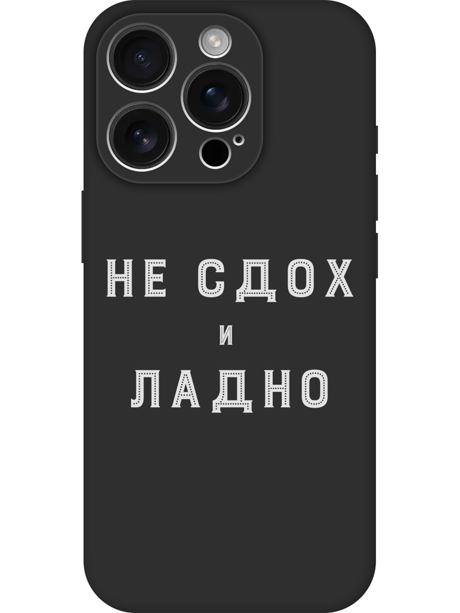 

Силиконовый чехол на Apple iPhone 16 Pro с принтом "Не сдох" матовый черный, Черный;белый, 785197761