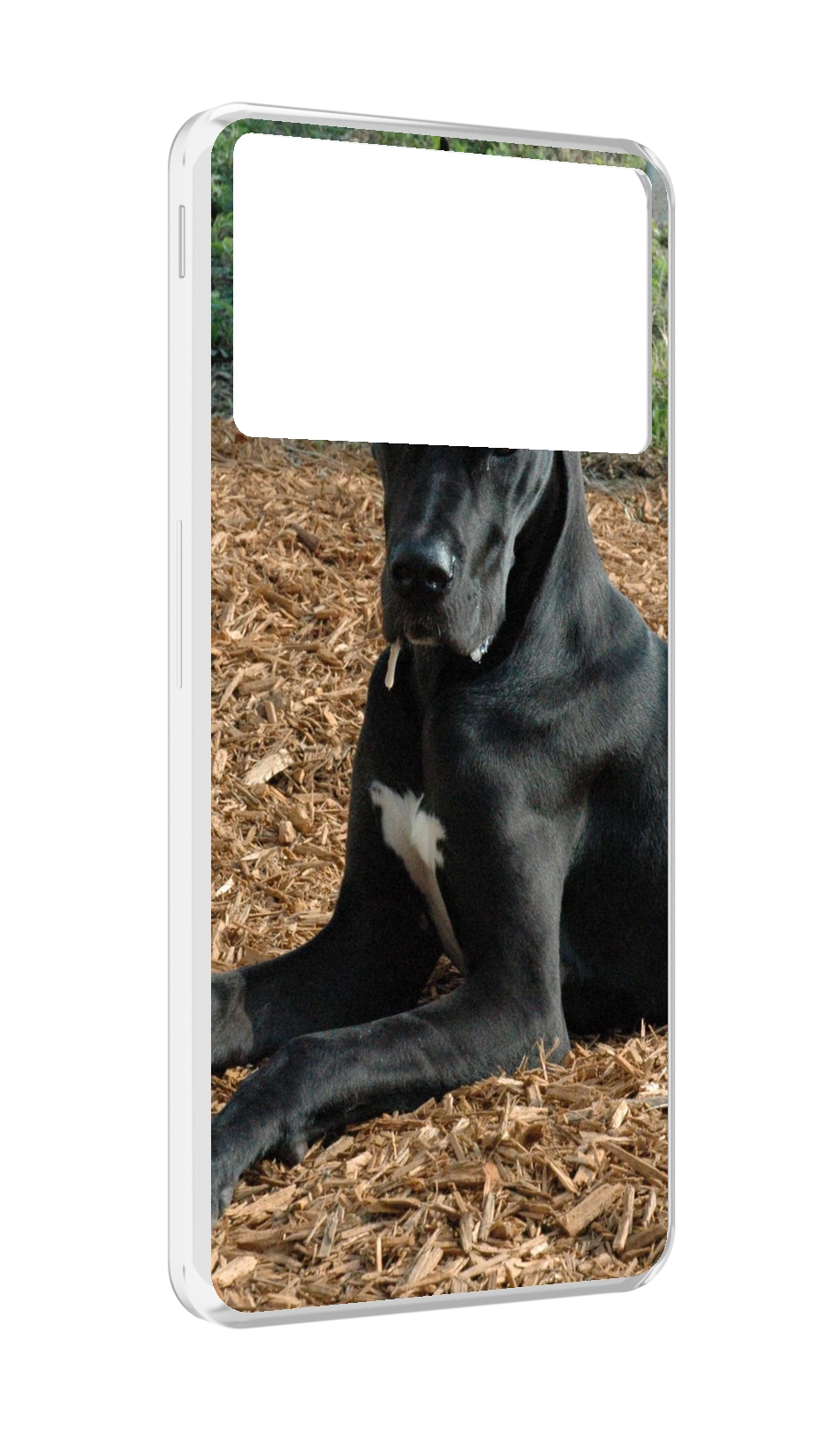 

Чехол MyPads немецкии дог для ZTE Nubia Z40S Pro, Прозрачный, Tocco