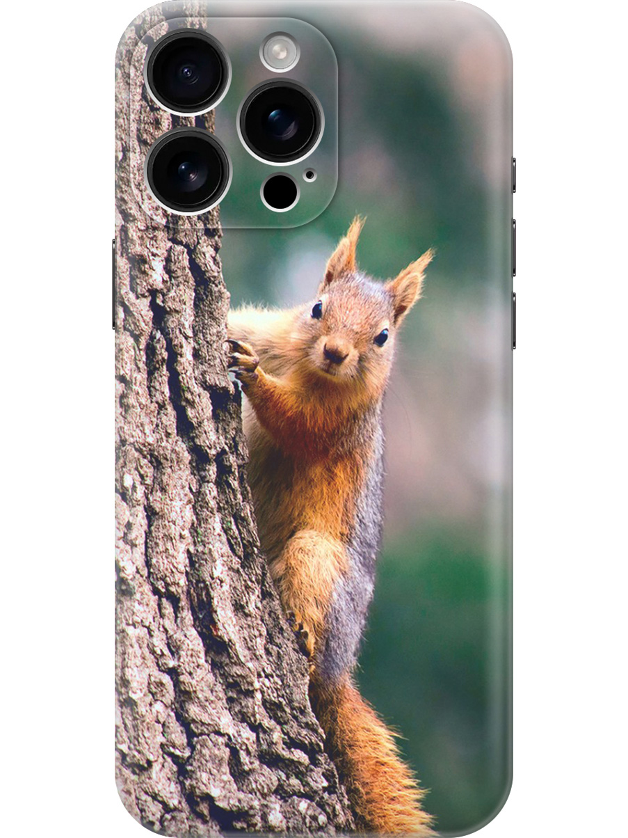 

Силиконовый чехол на Apple iPhone 16 Pro Max с принтом "Белочка", Прозрачный;коричневый;оранжевый, 785198312