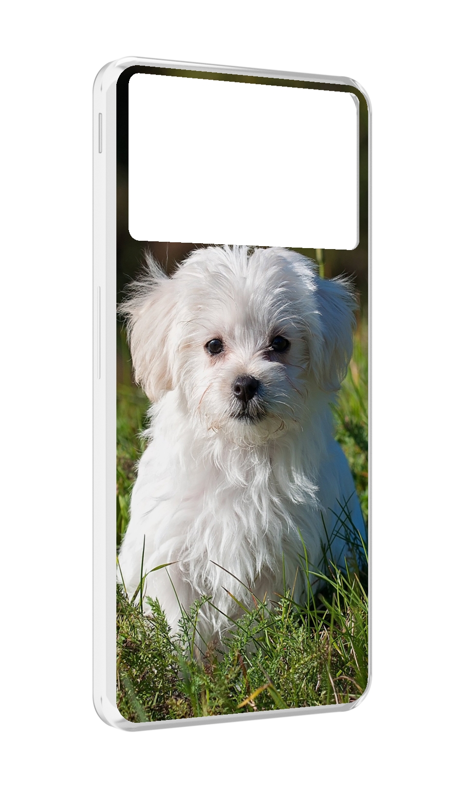 Чехол MyPads мальтии?ская-болонка для ZTE Nubia Z40S Pro
