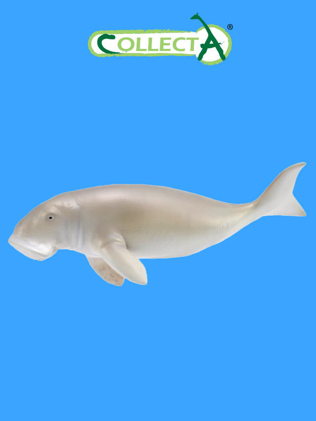 Фигурка животного Collecta Дюгонь фигурка морского животного collecta тихоокеанский белобокий дельфин