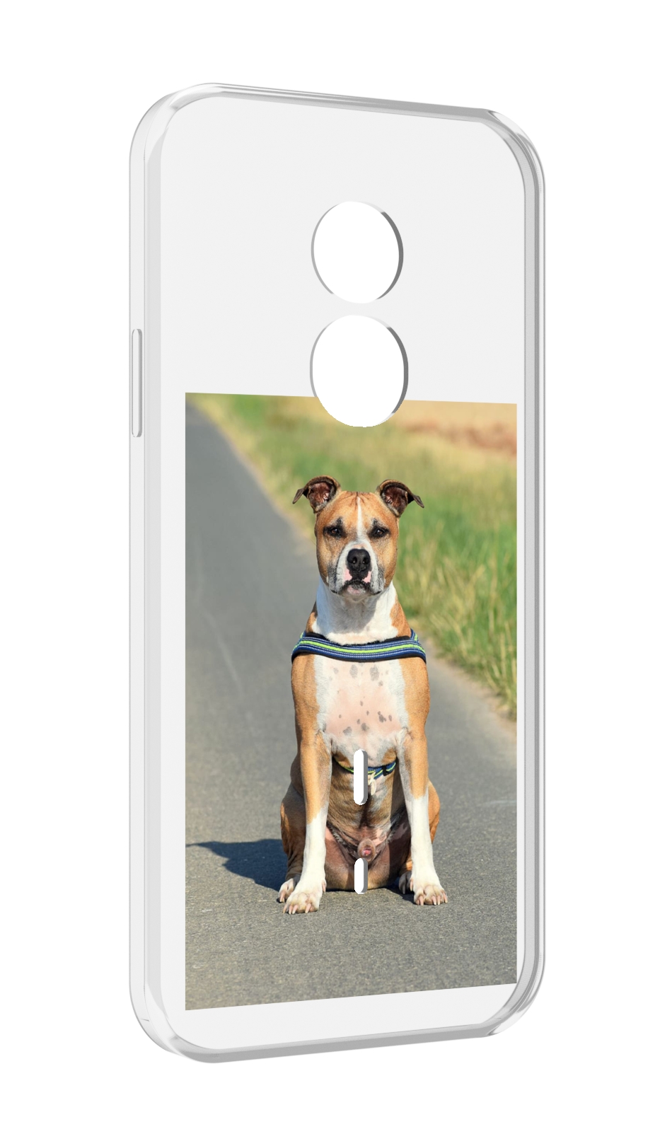 

Чехол MyPads стаффорд терьер для Doogee S51, Прозрачный, Tocco