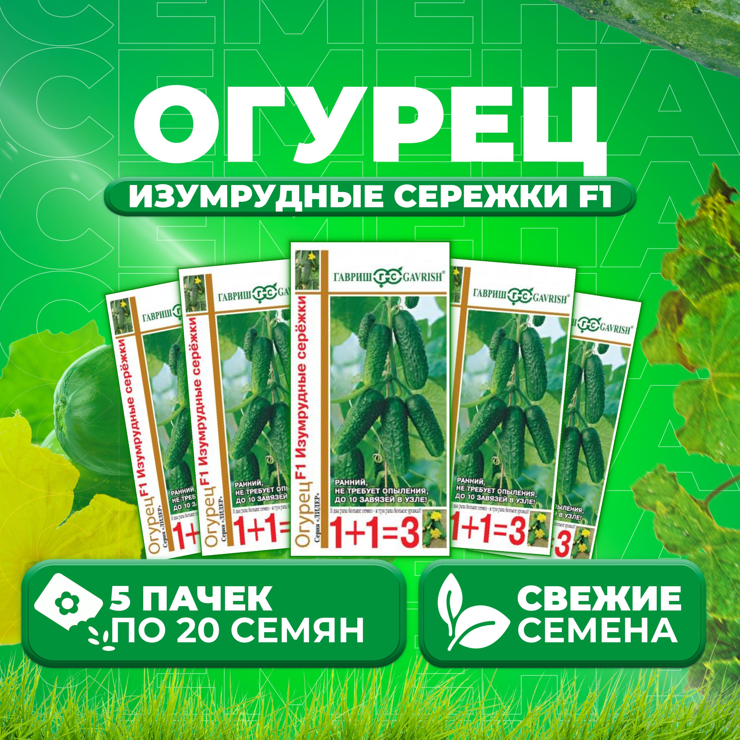 Огурцы Изумрудная Сережка Отзывы Фото