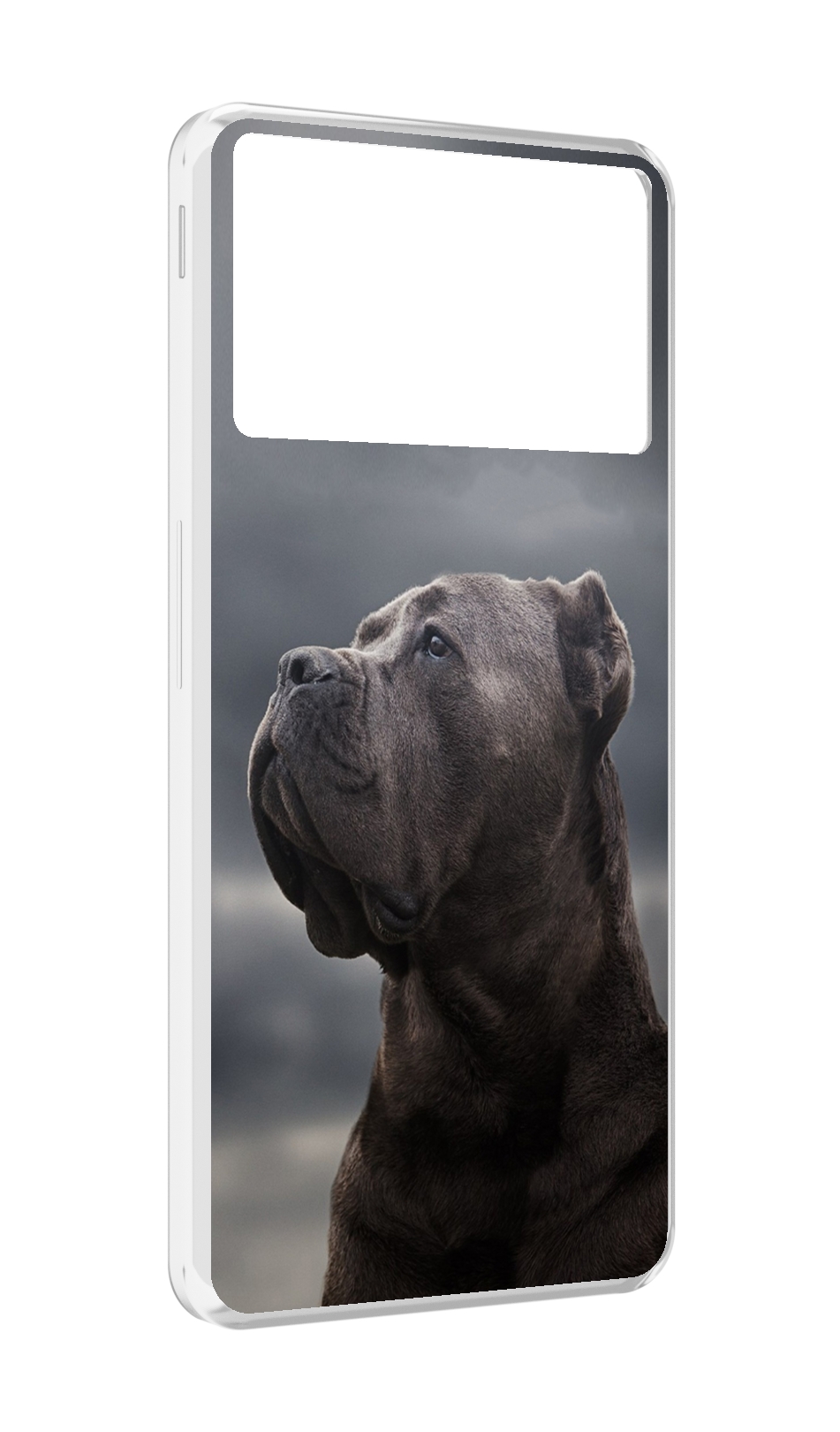 

Чехол MyPads кане корсо для ZTE Nubia Z40S Pro, Прозрачный, Tocco