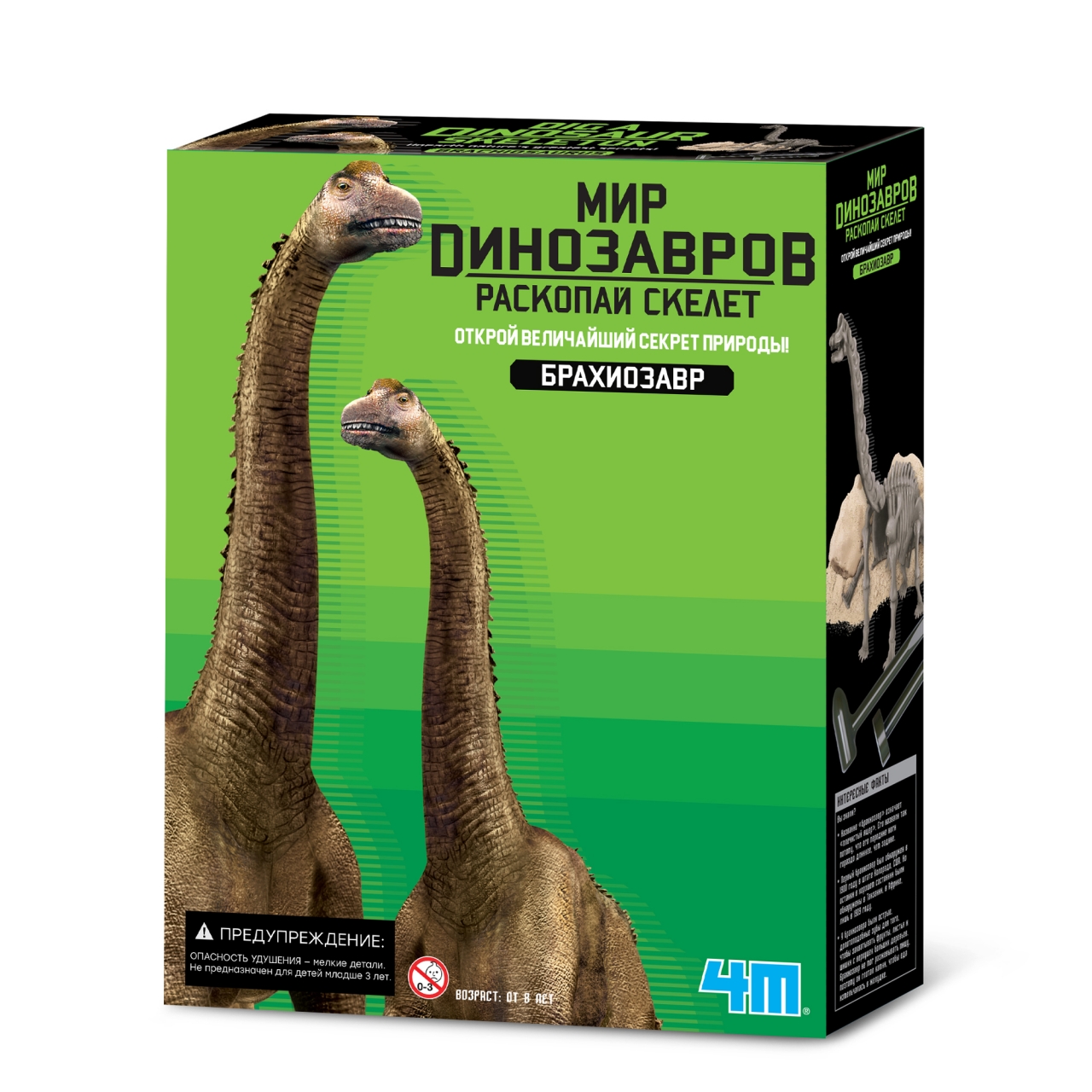 Набор для опытов 4М Игра раскопки для детей Раскопай скелет динозавра Фигурка Брахиозавра драгоценности восьми кусков парчи