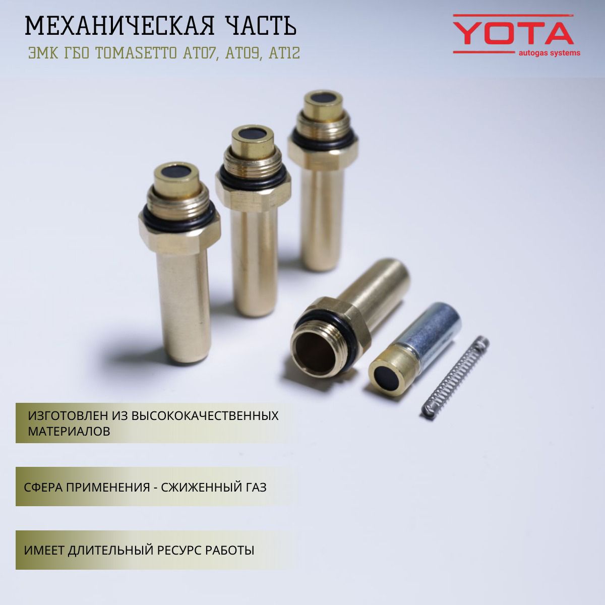 

Механическая часть / Сердечник клапана ГБО редуктора TOMASETTO АТ07, AT09, AT12, AT02